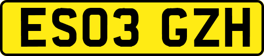 ES03GZH
