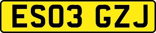 ES03GZJ