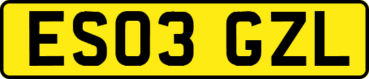ES03GZL