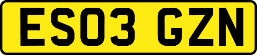 ES03GZN