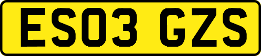 ES03GZS