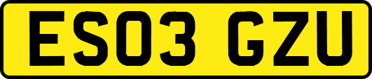 ES03GZU
