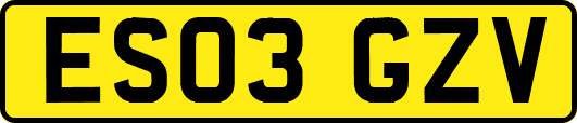 ES03GZV