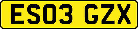 ES03GZX
