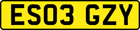ES03GZY