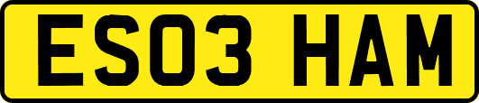 ES03HAM