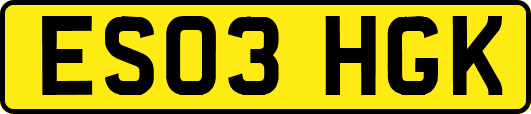 ES03HGK
