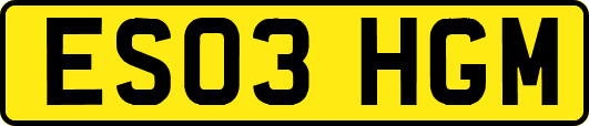 ES03HGM
