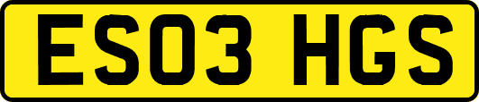 ES03HGS
