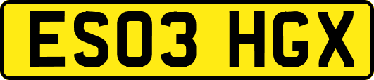 ES03HGX