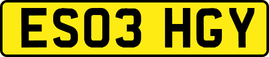 ES03HGY