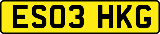 ES03HKG