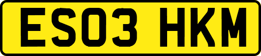 ES03HKM