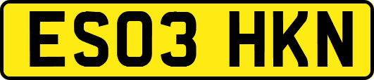ES03HKN