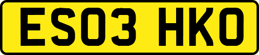 ES03HKO