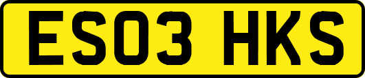 ES03HKS