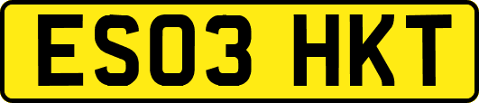 ES03HKT