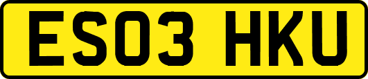 ES03HKU