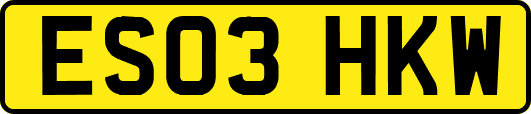 ES03HKW