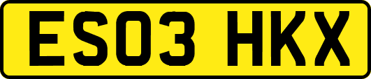 ES03HKX