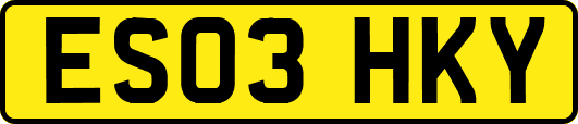 ES03HKY