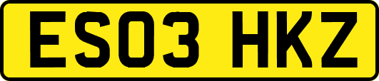 ES03HKZ