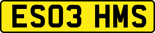 ES03HMS
