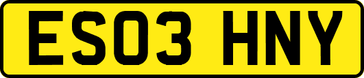ES03HNY