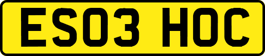 ES03HOC
