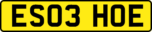 ES03HOE