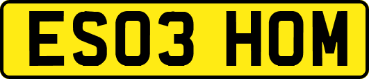 ES03HOM