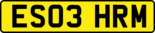 ES03HRM