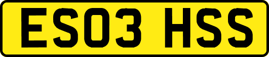 ES03HSS