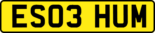 ES03HUM