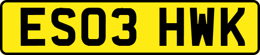 ES03HWK