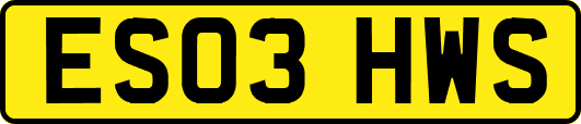 ES03HWS