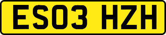 ES03HZH