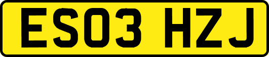 ES03HZJ
