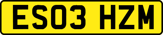 ES03HZM
