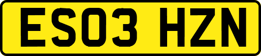 ES03HZN