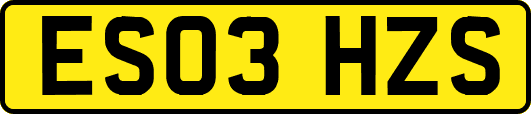 ES03HZS