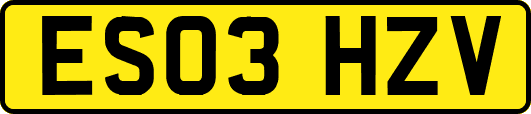 ES03HZV