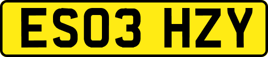 ES03HZY