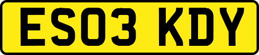 ES03KDY