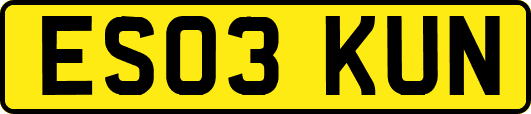 ES03KUN