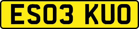 ES03KUO