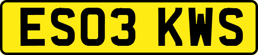 ES03KWS