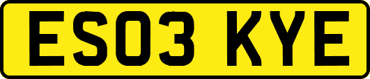 ES03KYE
