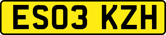 ES03KZH