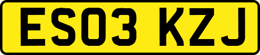 ES03KZJ